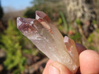 Natural Red Hematoid Quartz Crystals x 35 From Karoi, Zimbabwe - Toprock Gemstones and Minerals 