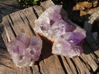 Natural Jacaranda Amethyst Clusters x 2 From Zambia - Toprock Gemstones and Minerals 