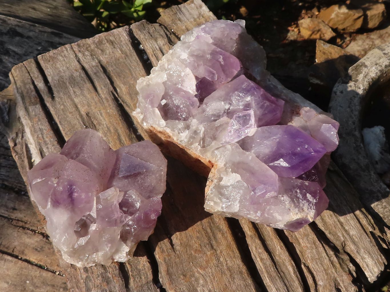 Natural Jacaranda Amethyst Clusters x 2 From Zambia - Toprock Gemstones and Minerals 