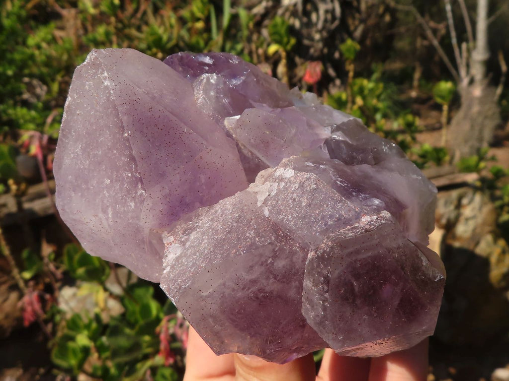 Natural Jacaranda Amethyst Clusters x 2 From Zambia - Toprock Gemstones and Minerals 
