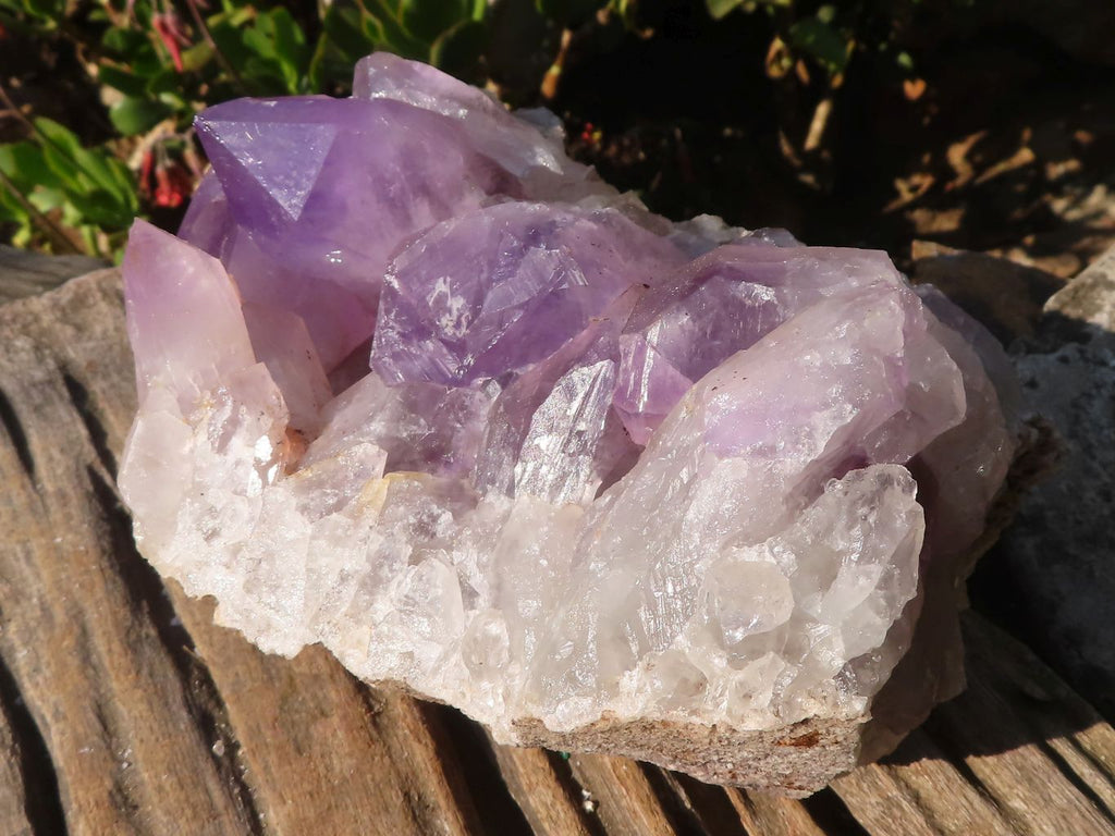 Natural Jacaranda Amethyst Clusters x 2 From Zambia - Toprock Gemstones and Minerals 