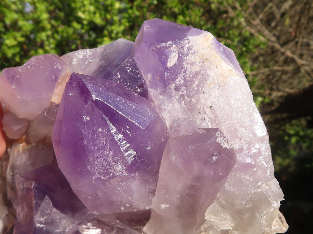 Natural Jacaranda Amethyst Clusters x 2 From Zambia - Toprock Gemstones and Minerals 