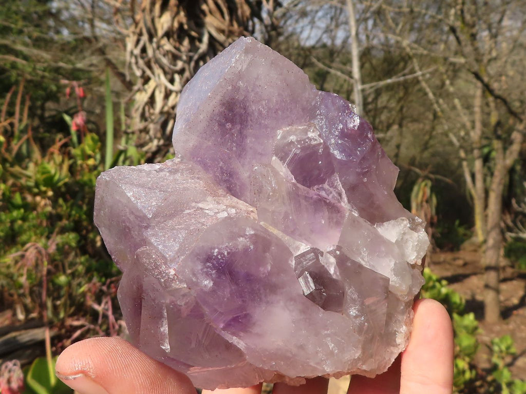 Natural Jacaranda Amethyst Clusters x 2 From Zambia - Toprock Gemstones and Minerals 