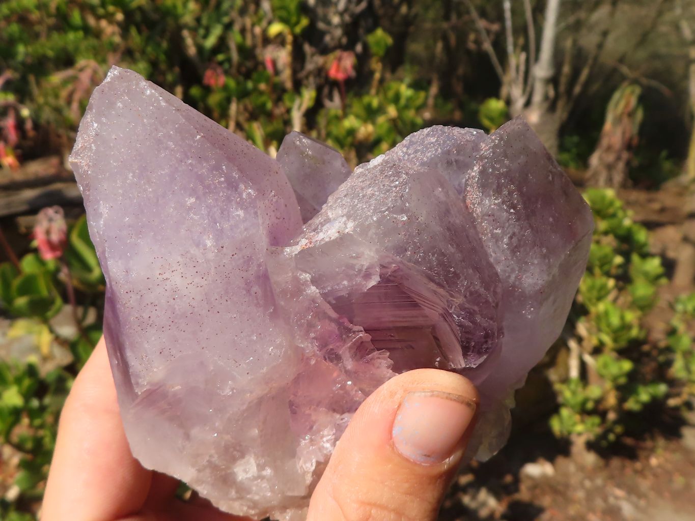 Natural Jacaranda Amethyst Clusters x 2 From Zambia - Toprock Gemstones and Minerals 