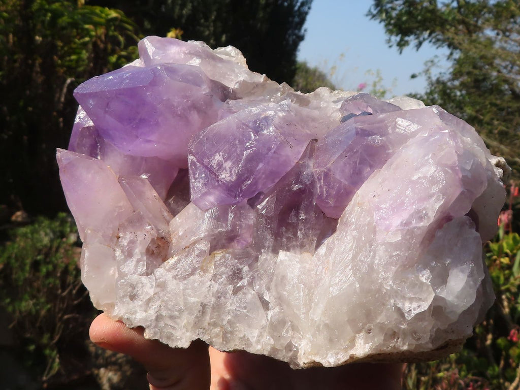 Natural Jacaranda Amethyst Clusters x 2 From Zambia - Toprock Gemstones and Minerals 