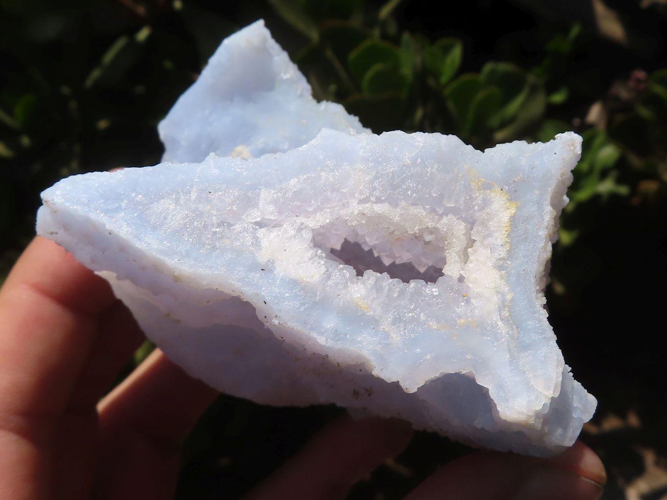 Natural Etched Blue Chalcedony Specimens  x 6 From Malawi - TopRock