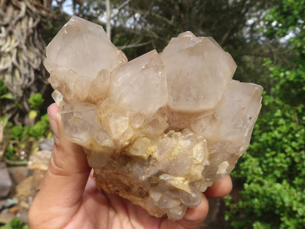 Natural Cascading White Phantom Smokey Quartz Clusters  x 6 From Luena, Congo - Toprock Gemstones and Minerals 