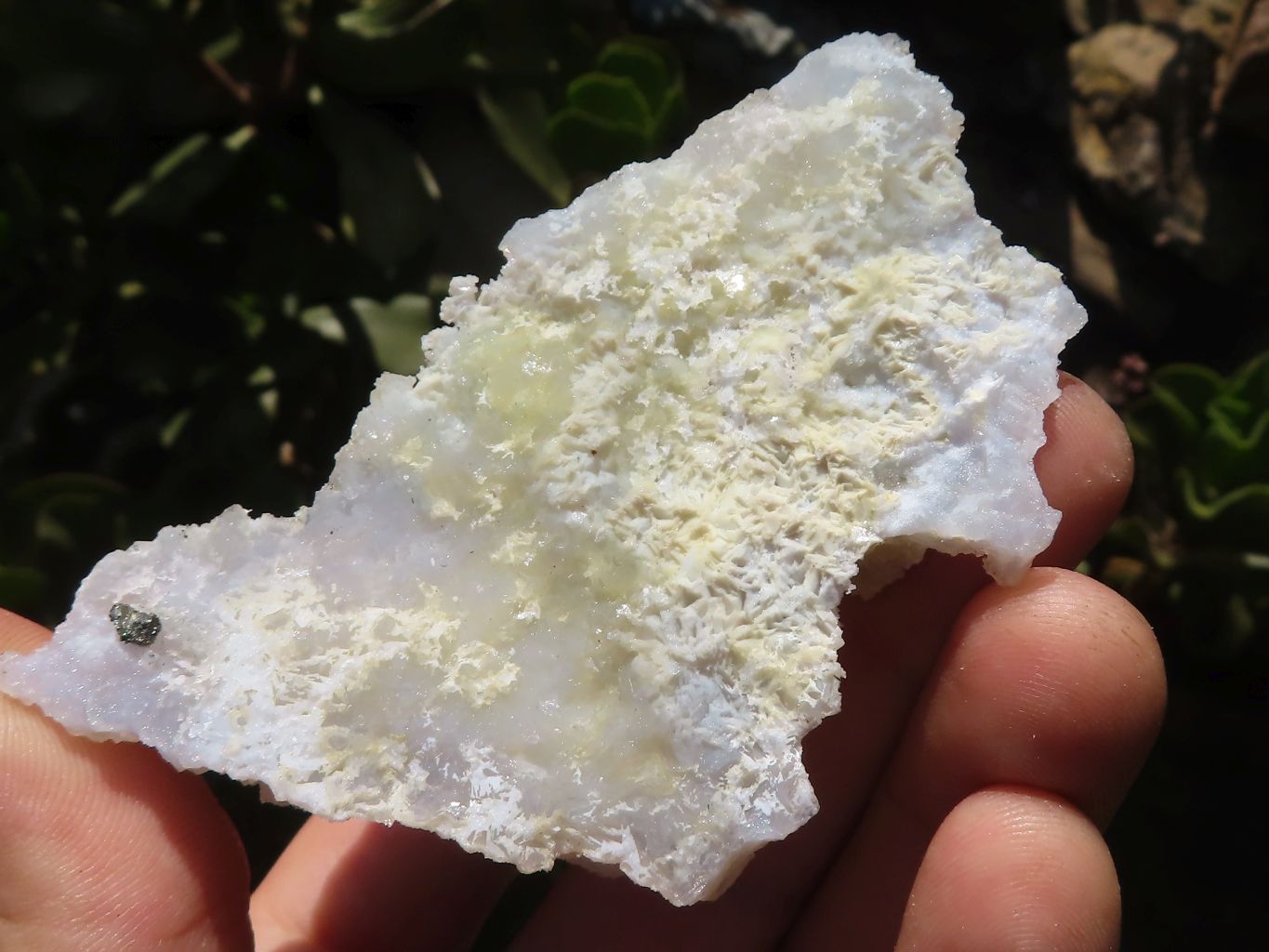 Natural Etched Blue Chalcedony Specimens  x 6 From Malawi - TopRock