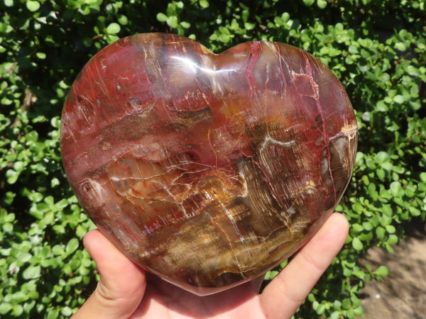 Polished Petrified Red Podocarpus Wood Heart x 1 From Madagascar - TopRock