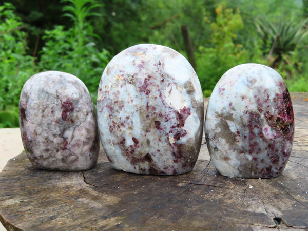 Polished Small Rubellite Tourmaline in Quartz Matrix Standing Free Forms  x 3 From Madagascar - TopRock