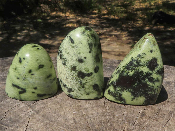 Polished Selected Leopard Stone Standing Free Forms  x 12 From Zimbabwe - TopRock
