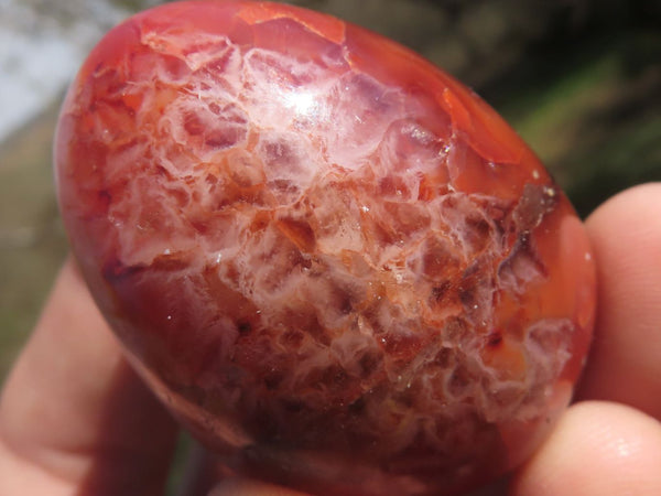 Polished Small Carnelian Agate Eggs  x 12 From Madagascar - TopRock