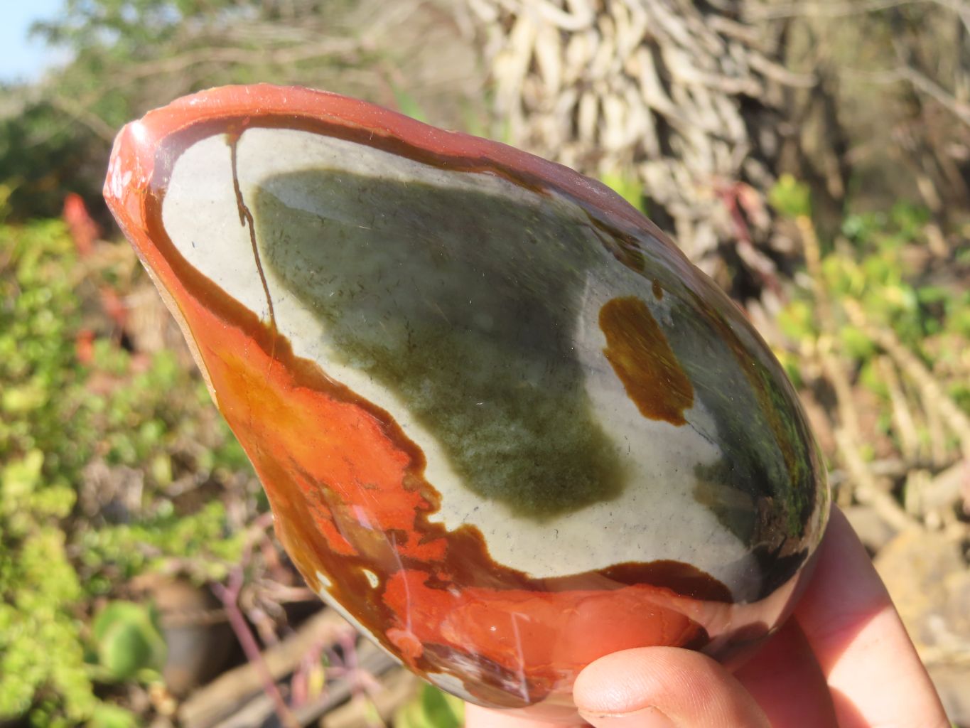 Polished Polychrome Jasper Domed Pieces  x 4 From Madagascar - Toprock Gemstones and Minerals 