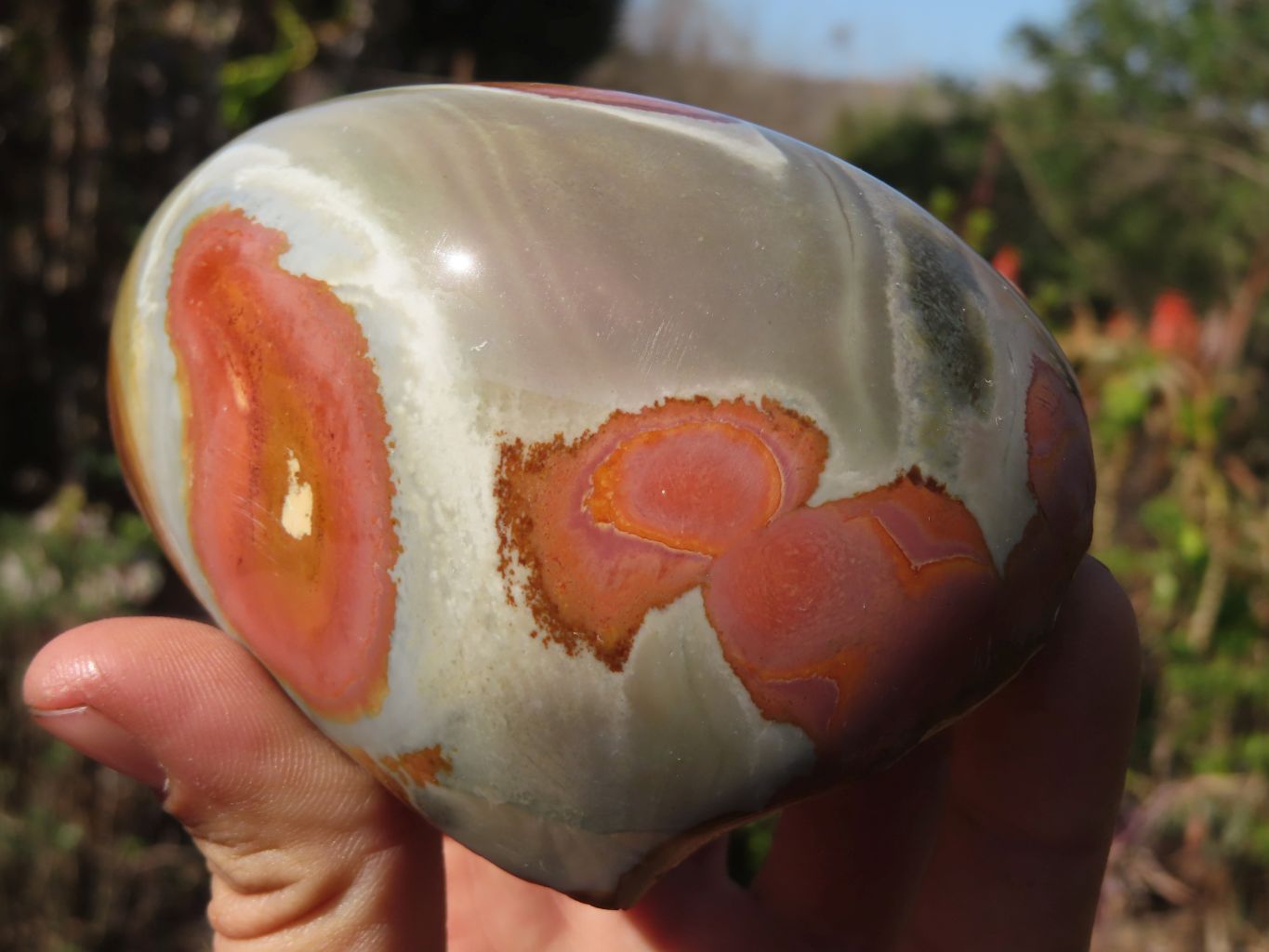 Polished Polychrome Jasper Domed Pieces  x 4 From Madagascar - Toprock Gemstones and Minerals 