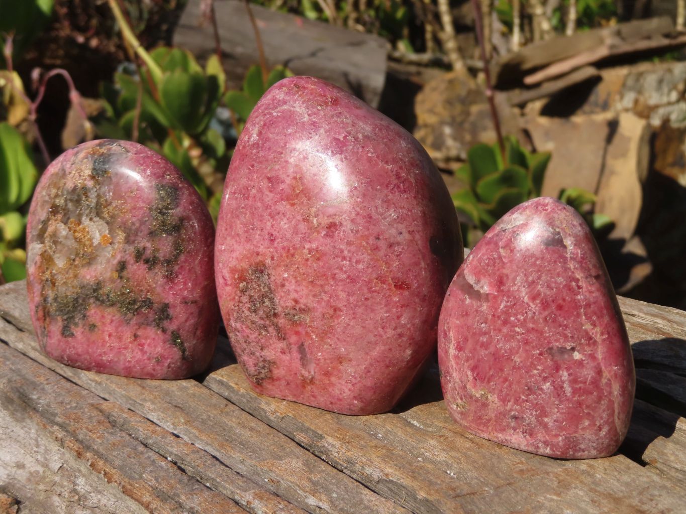 Polished Pink Rhodonite Standing Free Forms x 3 From Madagascar - Toprock Gemstones and Minerals 