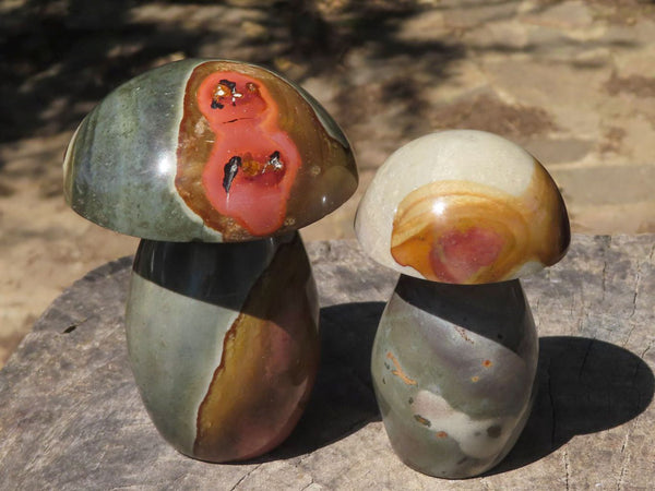 Polished Polychrome / Picasso Jasper Mushrooms  x 6 From Mahajanga, Madagascar - TopRock