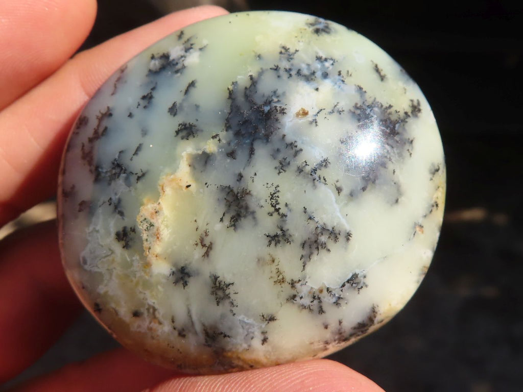 Polished Dendritic Opal Palm Stones  x 12 From Madagascar - Toprock Gemstones and Minerals 