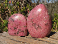 Polished Pink Rhodonite Standing Free Forms x 3 From Madagascar - Toprock Gemstones and Minerals 