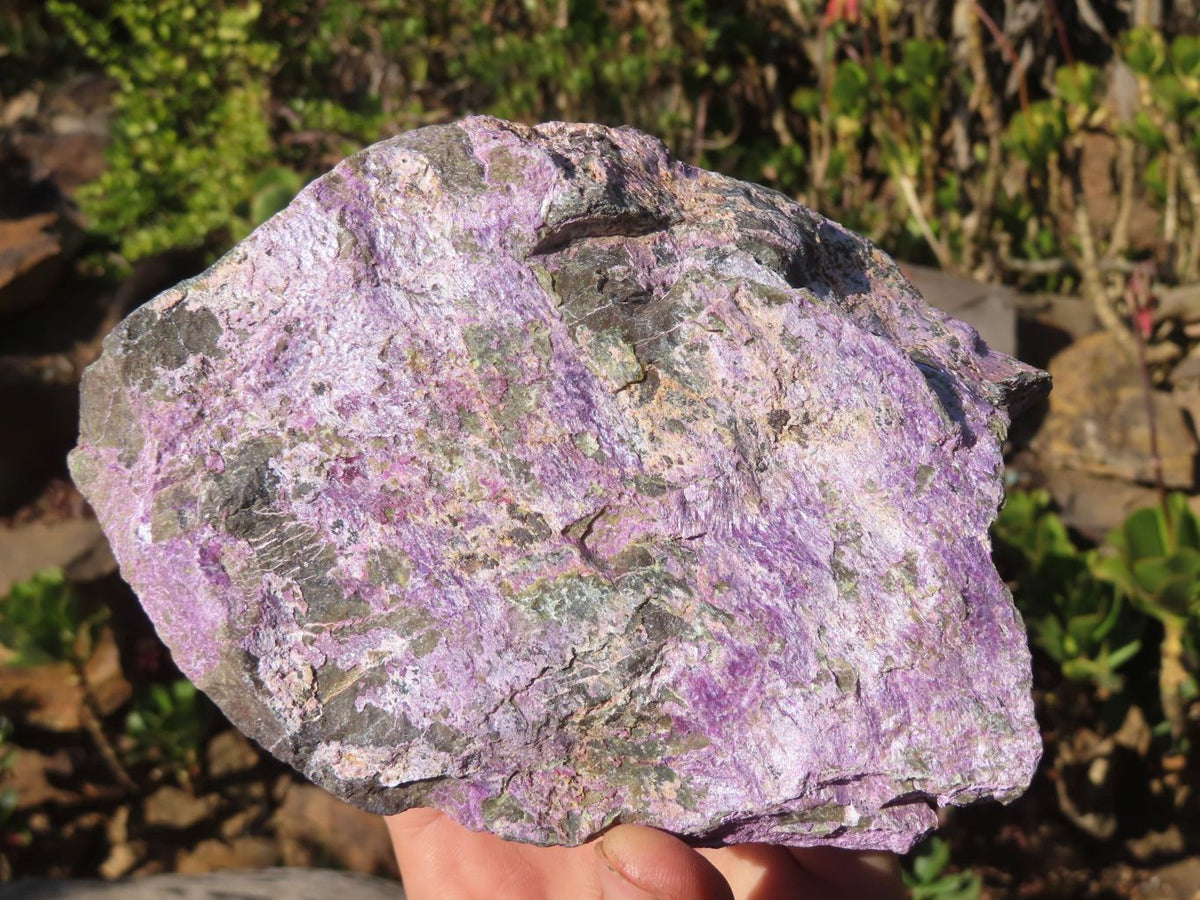Natural Rough Stichtite & Serpentine Specimens x 2 From Barberton, South Africa - Toprock Gemstones and Minerals 