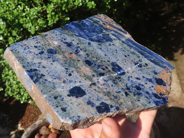 Polished Spotted Sodalite Slabs  x 2 From Namibia - Toprock Gemstones and Minerals 
