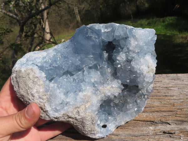 Natural Crystalline Blue Celestite Cluster With Semi Gemmy Crystals  x 1 From Sakoany, Madagascar - TopRock