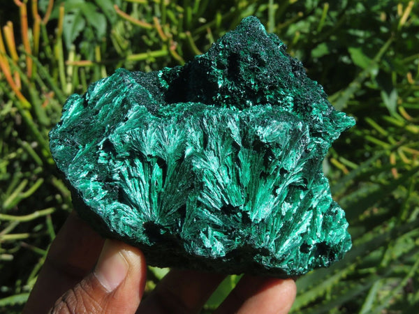 Natural Silky Malachite Specimens x 3 From Kasompe, Congo - TopRock