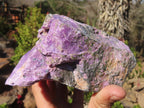 Natural Rough Stichtite & Serpentine Specimens x 2 From Barberton, South Africa - Toprock Gemstones and Minerals 