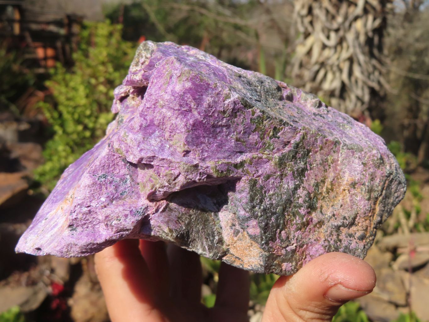 Natural Rough Stichtite & Serpentine Specimens x 2 From Barberton, South Africa - Toprock Gemstones and Minerals 