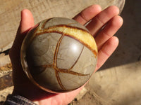 Polished Septerye Sphere x 1 From Mahajanga, Madagascar - Toprock Gemstones and Minerals 