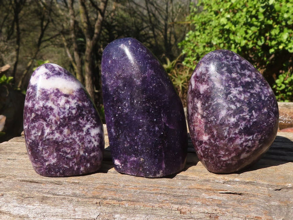 Polished Deep Purple Lepidolite Standing Free Forms  x 3 From Zimbabwe