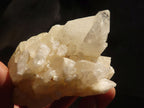 Natural Cascading Candle Quartz Clusters  x 4 From Madagascar - Toprock Gemstones and Minerals 