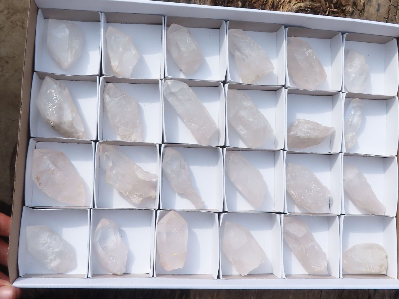Natural Clear Etched Quartz Crystals  x 24 From Mpika, Zambia - Toprock Gemstones and Minerals 