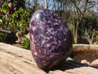 Polished Deep Purple Lepidolite Standing Free Forms  x 3 From Zimbabwe - Toprock Gemstones and Minerals 