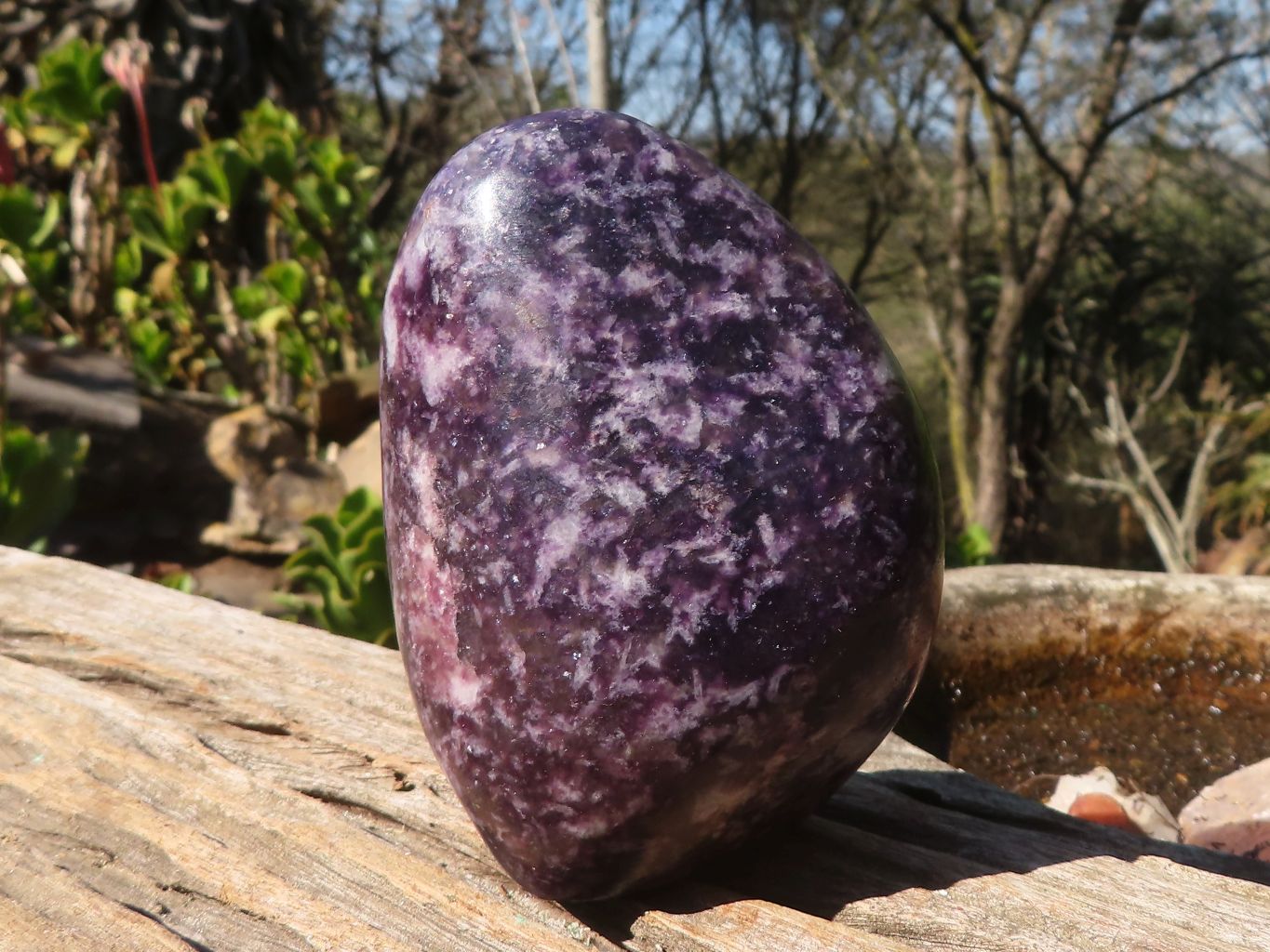 Polished Deep Purple Lepidolite Standing Free Forms  x 3 From Zimbabwe - Toprock Gemstones and Minerals 
