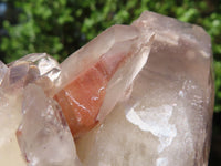 Natural Red Hematite Quartz Clusters  x 2 From Karoi, Zimbabwe - Toprock Gemstones and Minerals 