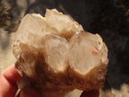 Natural Cascading White Phantom Smokey Quartz Clusters x 6 From Luena, Congo - Toprock Gemstones and Minerals 