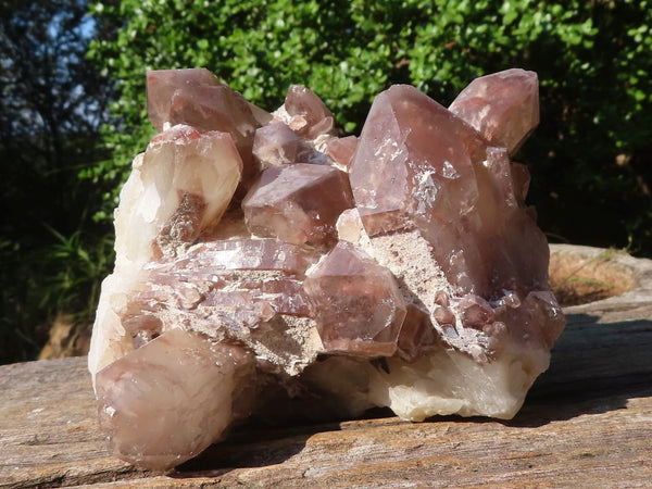 Natural Red Hematite Quartz Clusters  x 2 From Karoi, Zimbabwe - Toprock Gemstones and Minerals 