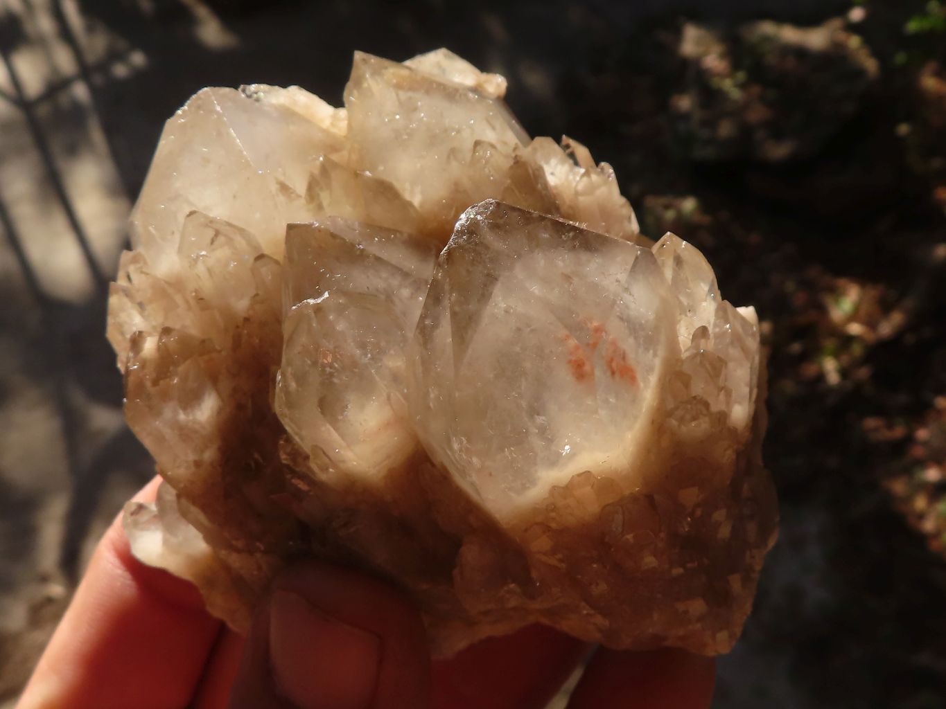 Natural Cascading White Phantom Smokey Quartz Clusters x 6 From Luena, Congo - Toprock Gemstones and Minerals 