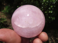 Polished Gemmy Pink Rose Quartz Spheres  x 6 From Ambatondrazaka, Madagascar - TopRock