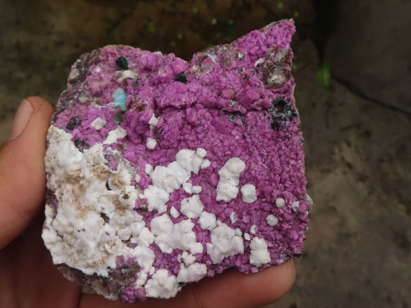 Natural Pink Salrose Cobaltion Dolomite With Chrysocolla & Malachite  x 6 From Kakanda, Congo - TopRock