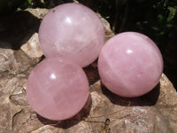 Polished Gemmy Pink Rose Quartz Spheres  x 6 From Ambatondrazaka, Madagascar - TopRock