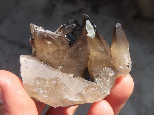 Natural Schorl Black Tourmaline Specimens x 6 From Erongo, Namibia