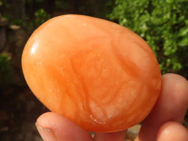 Polished Orange Twist Calcite Palm Stones  x 12 From Madagascar
