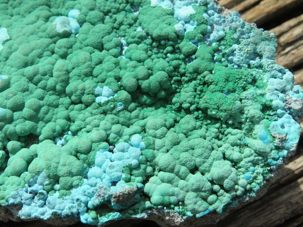 Natural Bright Blue & Green Botryoidal Chrysocolla Specimens x 2 From Lupoto, Congo - TopRock