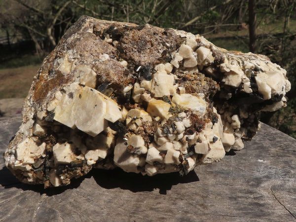 Natural Extra Large White Orthoclase Specimen With Black Aegirine Crystals  x 1 From Zomba Mountain, Malawi