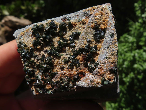 Natural Rare Libethenite Crystal Specimens  x 6 From Congo - TopRock