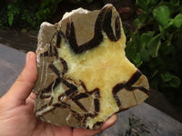 Polished Septaria (Calcite & Aragonite) Slices  x 4 From Mahajanga, Madagascar - TopRock