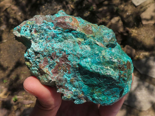 Natural Shattuckite Specimens With Native Copper & Malachite  x 4 From Namibia - TopRock