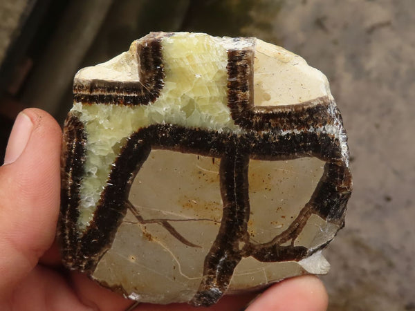 Polished Septaria (Calcite & Aragonite) Slices  x 4 From Mahajanga, Madagascar - TopRock