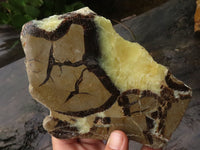 Polished Septaria (Calcite & Aragonite) Slices  x 4 From Mahajanga, Madagascar - TopRock